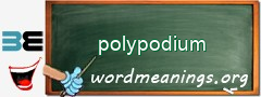 WordMeaning blackboard for polypodium